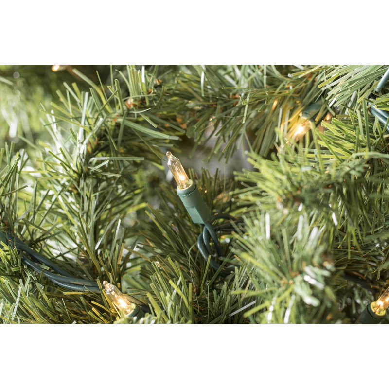 606'' String Lights, Clear