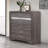 Sparkle Grey Chest