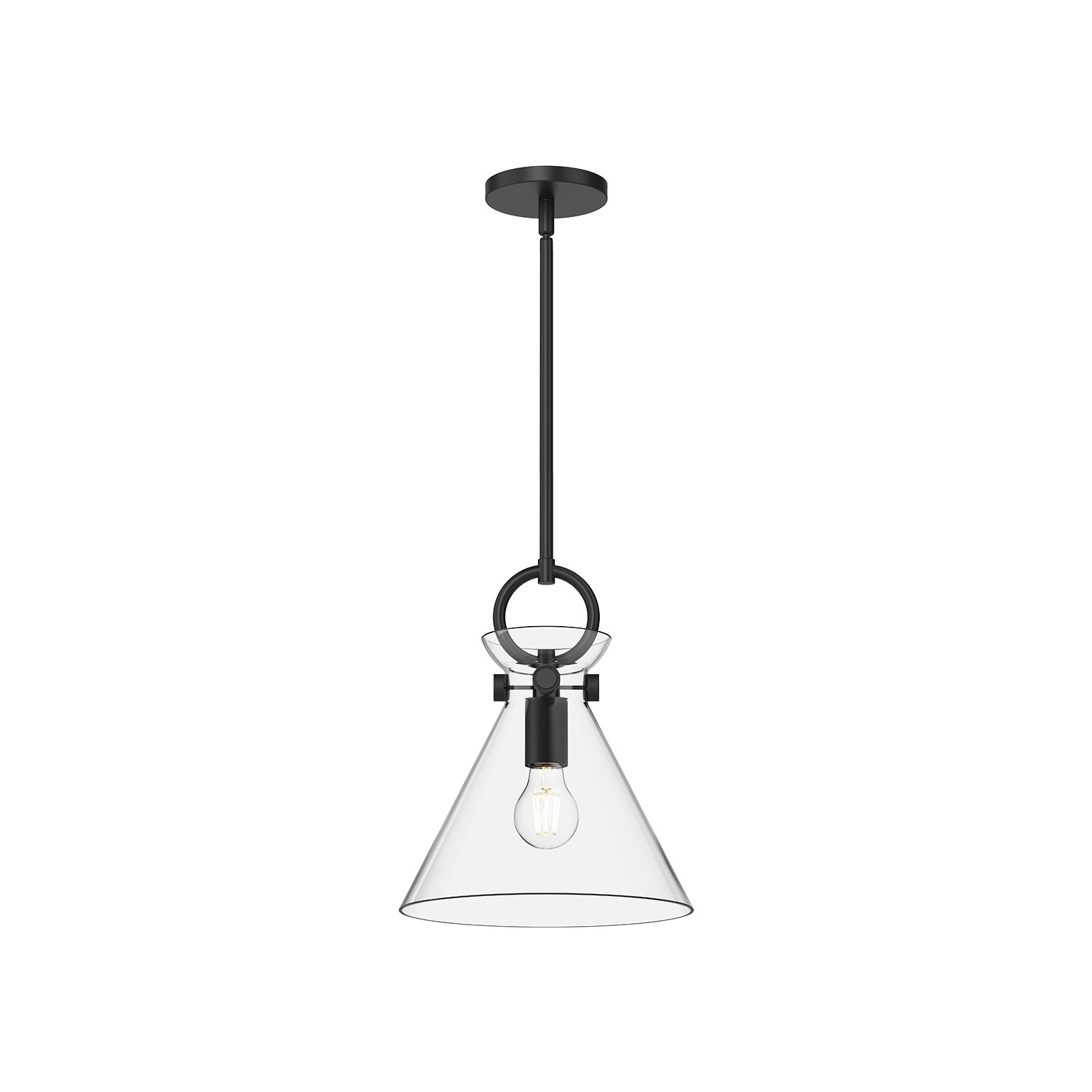 Tiney Single Light Glass Steel Pendant, 12.75" H x 10.5" W x 10.5" D, Matte Black/Clear