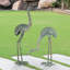 Foraging Cranes Set Of 2