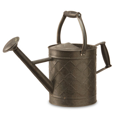 Clodoveo Metal Watering Can