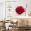 Rose rouge Harnek-109369430