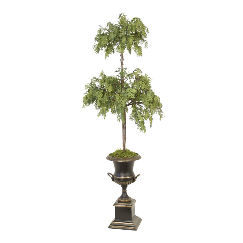 Cedar Topiary in Bronze Urn with Handles