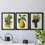 Antique Fruit VI - ensemble de 3 impressions sur toile encadrées-227612691-227612690