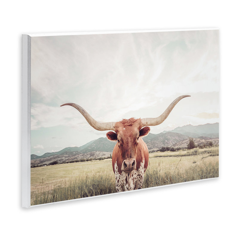 Plaque murale «Longhorn Portrait Open Meadow» par Sissi et Seb, H 10 po x l 15 po