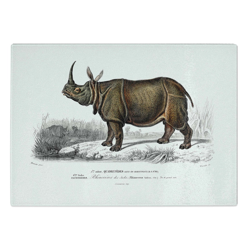 Glass indian Rhinoceros by Charles D' Orbigny Chopping Board, 39 cm W x 28.5 cm L