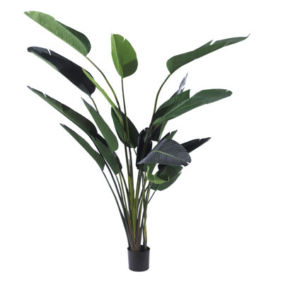 245cm Faux Plant in Pot