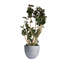 Pot à fleur Dorlis Fiberstone-809609163-881441044