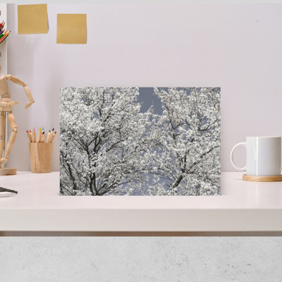 Art mural éthéré à fleurs blanches délicates