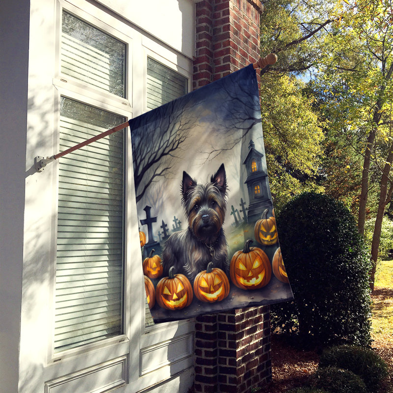 Drapeau de maison d'Halloween en polyester à double face H 40 po x l 28 po