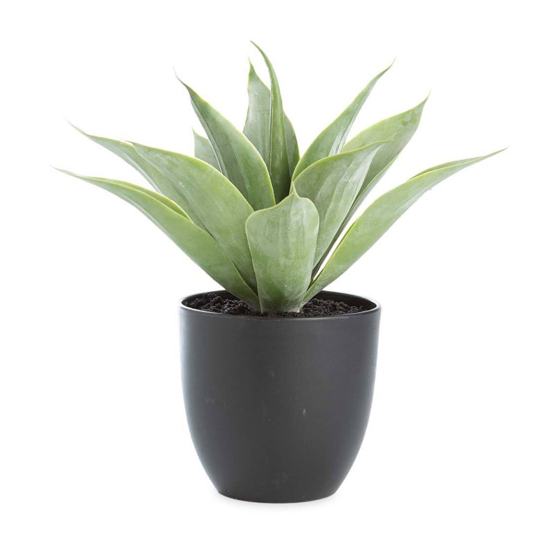 14'' Faux Succulent Plant
