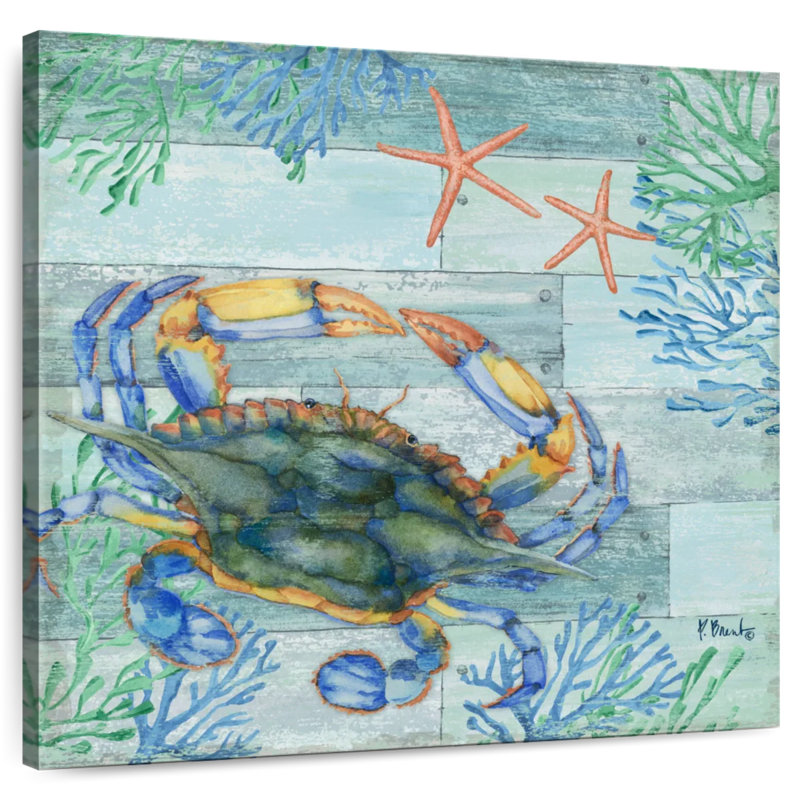 Brampt Clearwater Sealife IV, H 16 po x l 16 po