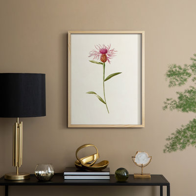 Mauve Garden Flowers VI Framed Print - Solid Wood