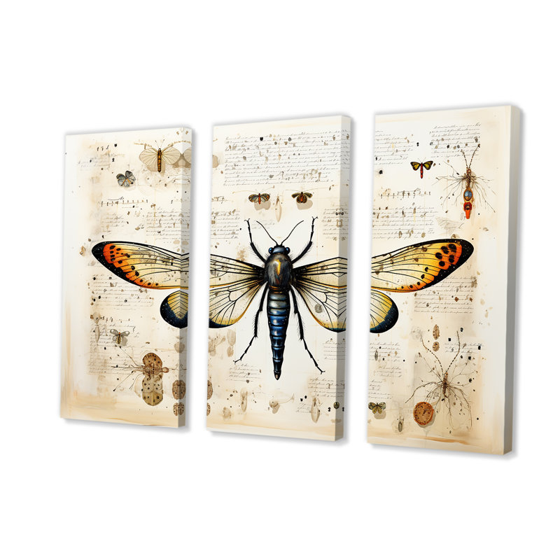 «Beige and Yellow Moth Blueprint - Insectes & Bugs», art mural, Toile tendue, H 40 po x l 60 po
