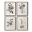 «Vintage Floral CECXVI», 4 pièces