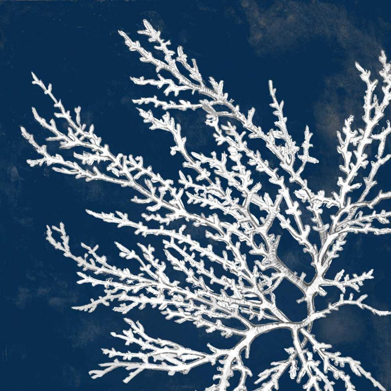 Art sur toile tendue par Rosecliff Heights Loreth, Lanie, Coastal Coral I, H 36 po x l 36 po