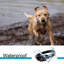 Clôture sans fil pour chien