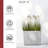 Pot Planter-78921106-78921107