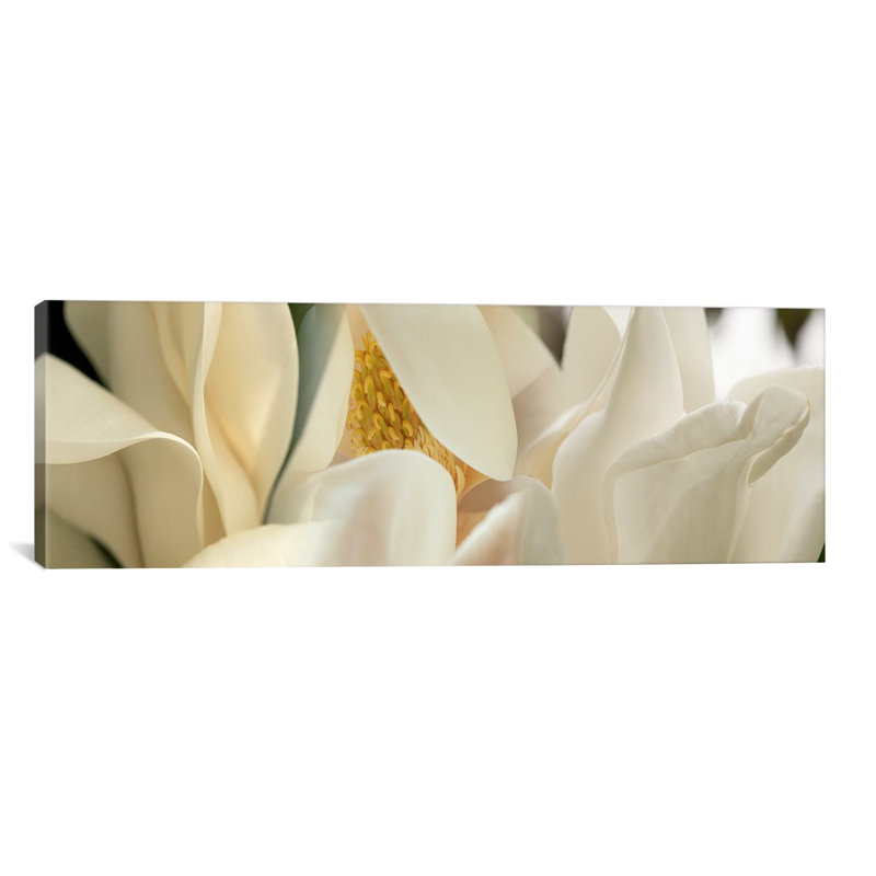 «Magnolia Flowers», reproduction de photo sur toile, H 16 po x l 48 po x P 1,5 po, Toile tendue