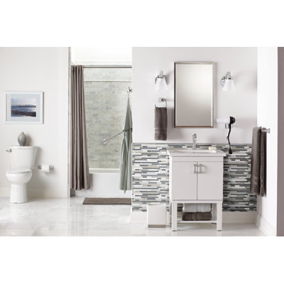 Moen Voss Wall Mounted Toilet Paper Holder
