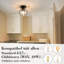 Semi Flush Mount