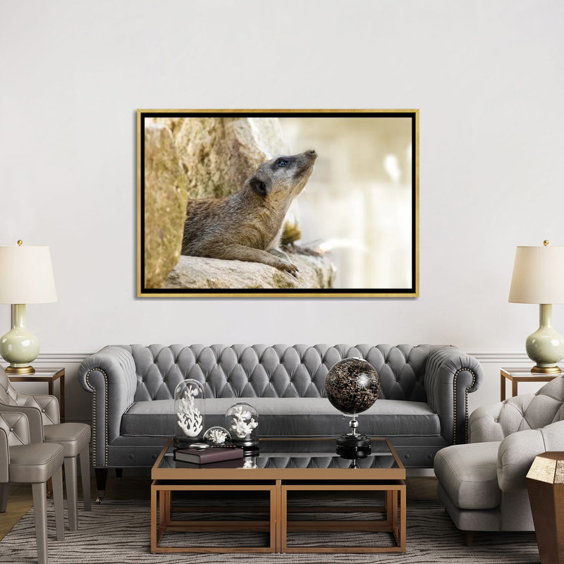 Cute Meerkat In Sunlight - Wall Art Print - Wrapped Canvas, 60" x 40", Framed Canvas, Gold