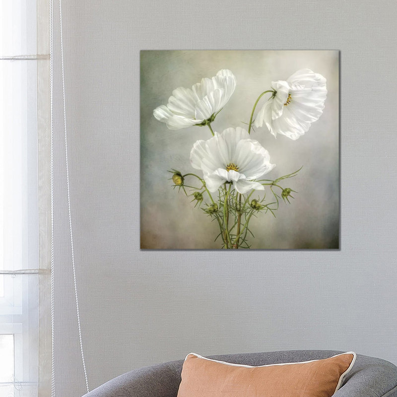 Cosmos Charm by Mandy Disher - Wrapped Canvas Print, 66.04 cm H x 66.04 cm W x 1.91 cm D