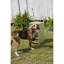 Mangeoire automatique en acier pour chien Pet Lodge Chow Hound, capacité de 25 livres-65601326-65601329