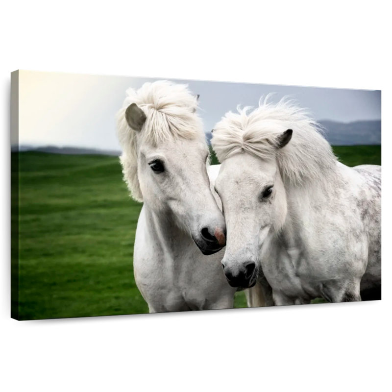 Brampt Pony Love, 16" H x 24" W