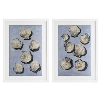 Embellished Clam Seashells 2pc Framed Print Under Glass Set, design by Michael Willett
