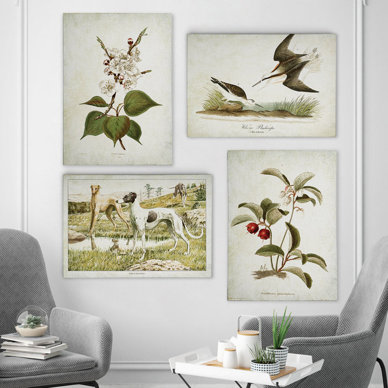 «Vintage Floral and Animal Prints», ensemble de 4 reproductions sur toiles tendues, H 18 po x l 48 po x P 1 po