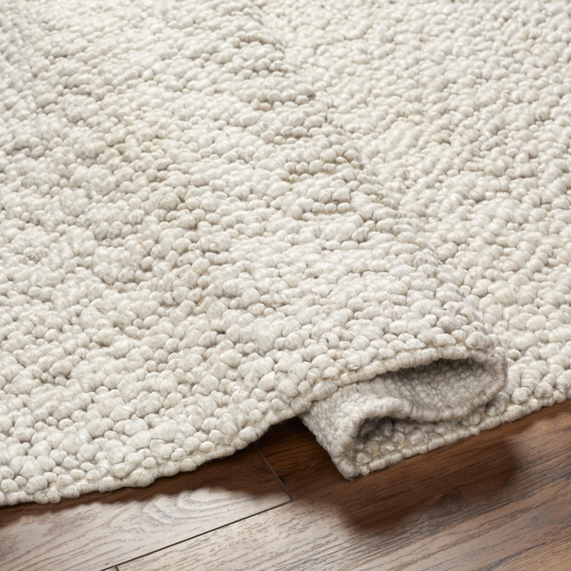 Vesta Handmade Hand Woven Light Gray Rug, Rectangle 2' x 3'