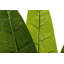 140cm Faux Banana Leaf Plant in Pot