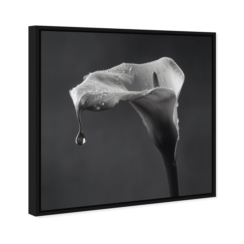 Midnight Rain Print by Oliver Gal, 21"H x 21"W, Black Floater Frame