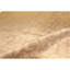 Hand Woven Silk Oriental Area Rug