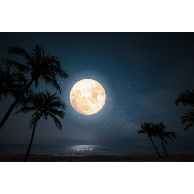 Tropical Beach In Full Moon by Jakkapan21 - Wrapped Canvas Print, 30cm H x 46cm W