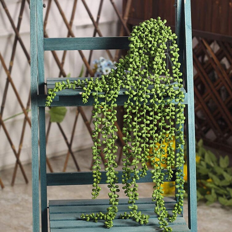Wall Artificial String of Pearls Plant Primrue