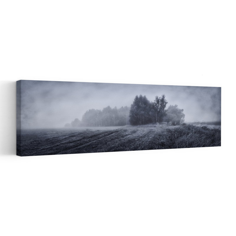 Foggy Rural Landscape by Sergei Shabunevich - Wrapped Canvas Panoramic Print, 91.44 cm H x 30.48 cm W