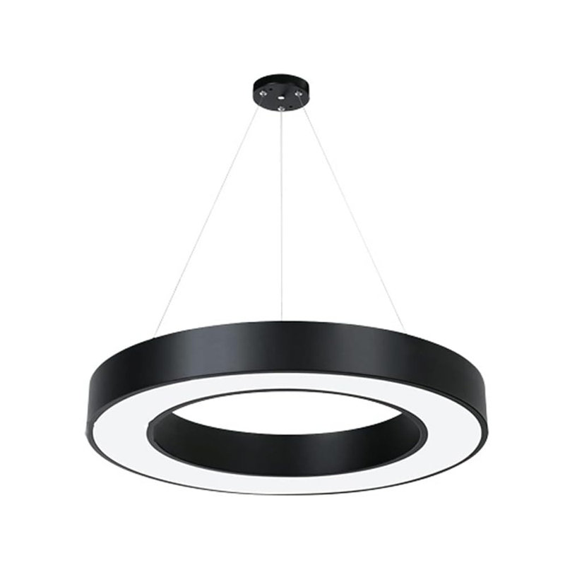 24 - Light Chrome Pendant