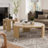 Keslynn 2-Piece Coffee Table Set