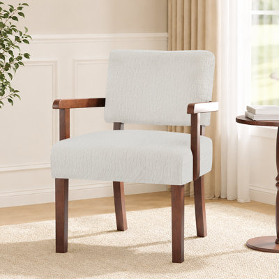 Naethan Upholstered Arm Accent Chair for Living Room, Accent Armchair