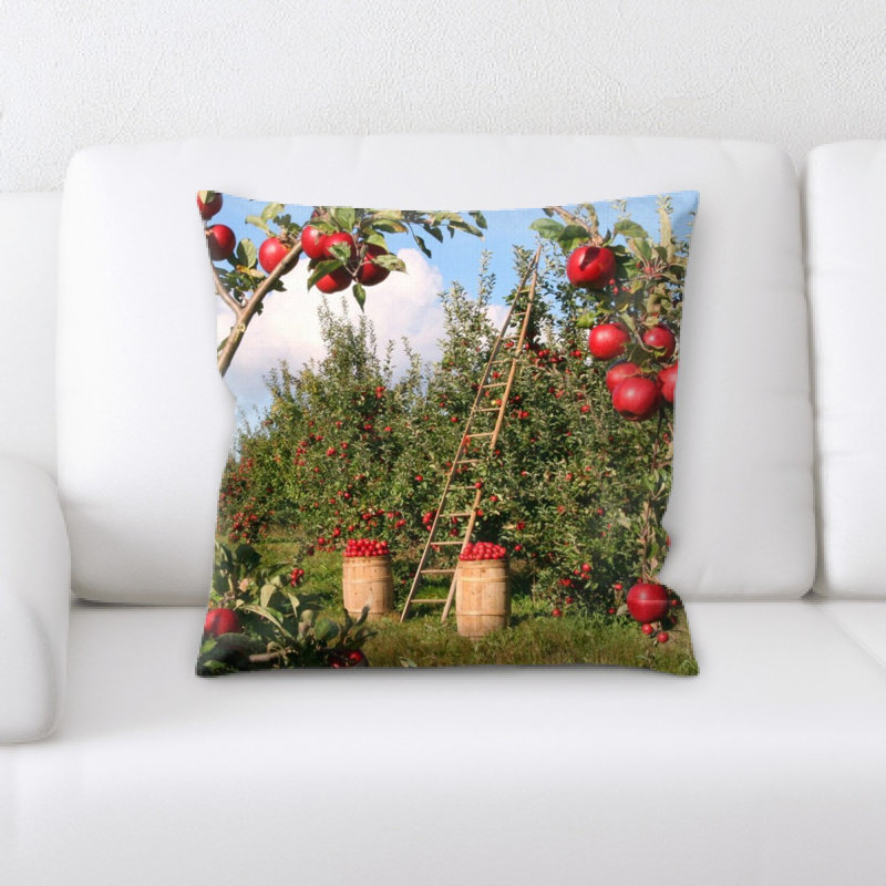 Coussin pomme