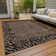 Machine Washable Indoor/Outdoor Claudian ACN1230 Brown Rug
