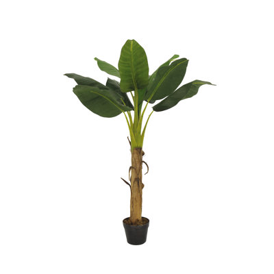 128cm Banana Leaf Tree in Planter
