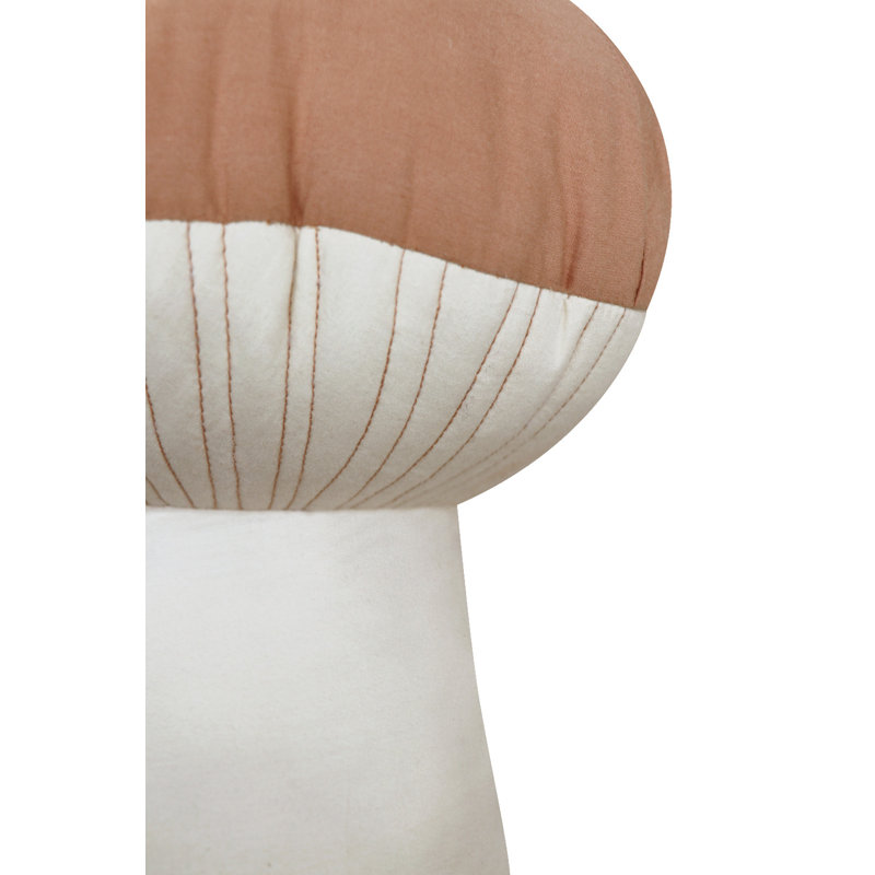 Cushion Boletus