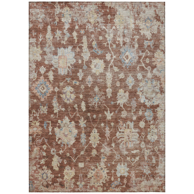 Machine Washable Indoor/Outdoor Francky ACN2355 Traditional Rug, Rectangle 9' x 12'