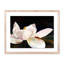 Dancer Print by JR Rapier-755736922-755736925
