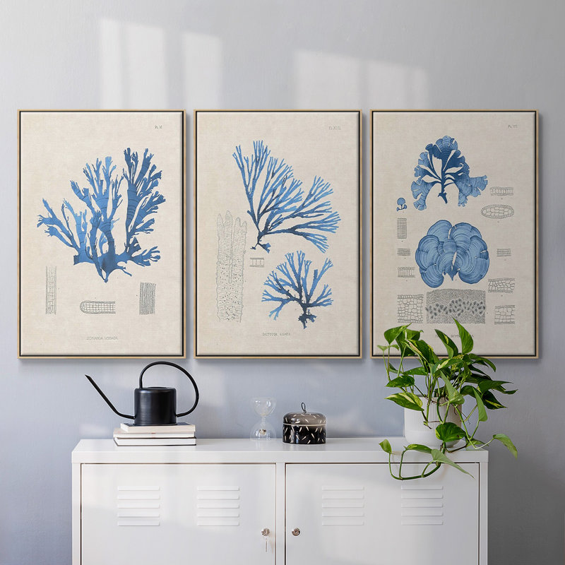 Blue Marine Algae IV - Ensemble de 3 reproductions encadrées sur toile, H 36 po x l 72 po x P 2 po, Naturel