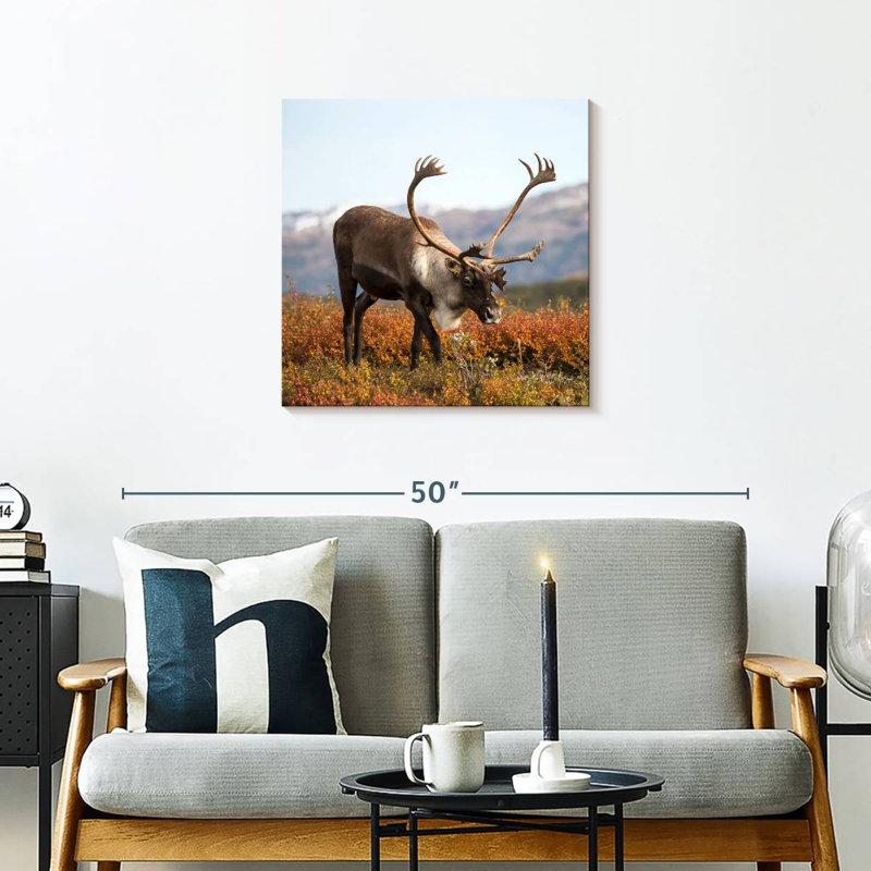 Brampt Denali Reindeer, 24" H x 24" W