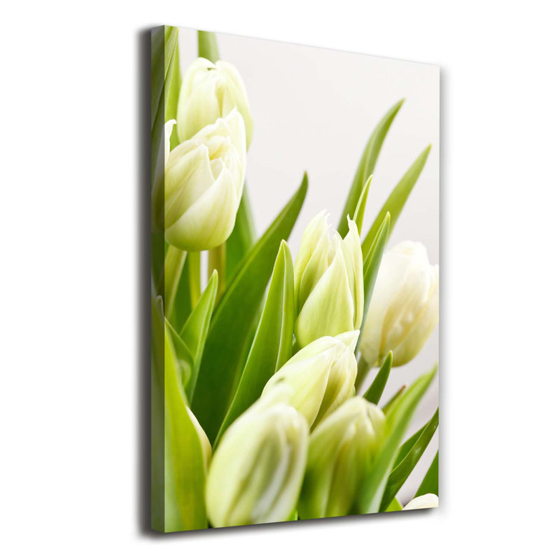 White Tulips - Wrapped Canvas Print